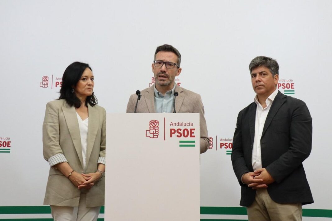 el-psoe-pide-a-la-diputacion-de-cordoba-que-de-destino-a-los-34-millones-de-euros-que-recibira-del-estado