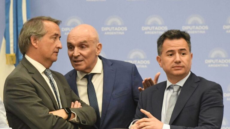 El Gobierno quiere anotarse la suspensión de las PASO al regreso de la actividad en el Congreso