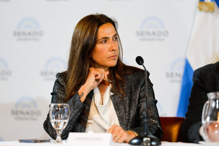 María Eugenia Talerico lanzó su candidatura a diputada nacional por la provincia de Buenos Aires