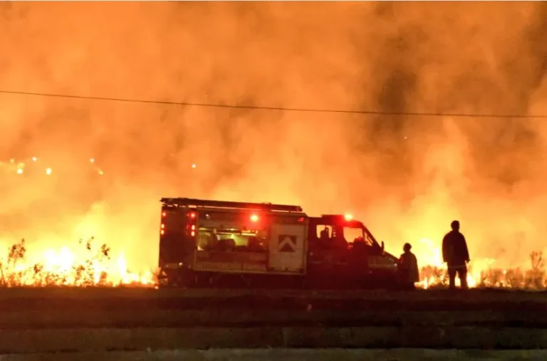 Bombero murió al salvar a una compañera mientras combatían incendio forestal