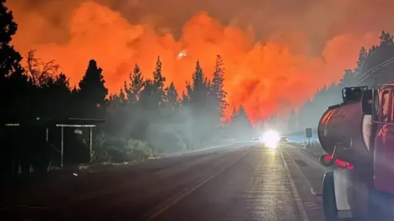 Los incendios en Valle Magdalena ya devastaron un área mayor a la Ciudad de Buenos Aires