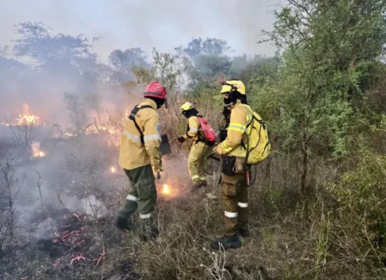 Se extinguieron todos los focos de incendio en Corrientes con ayuda de las lluvias