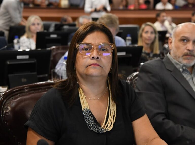 Fuerte repudio en Diputados a una disposición de la Agencia Nacional de Discapacidad