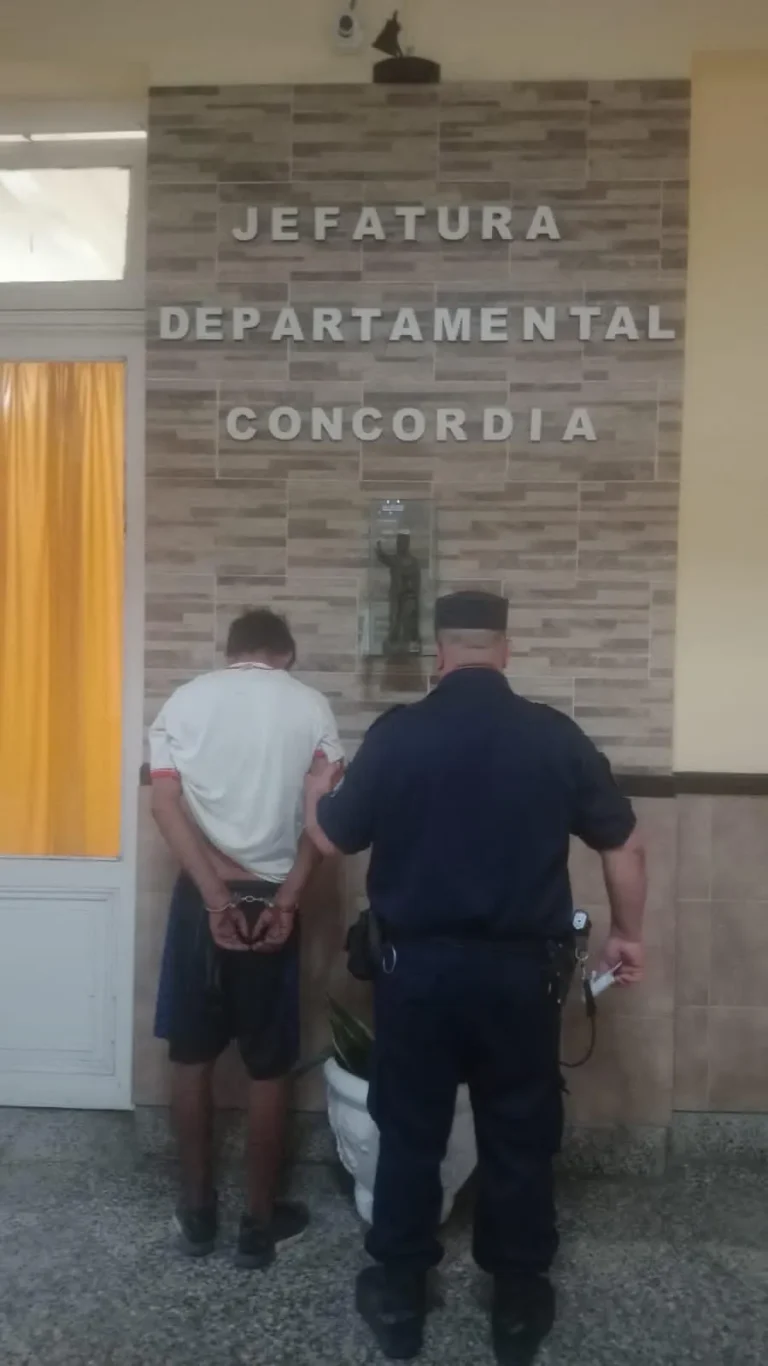 LO CAPTURARON LAS CAMARAS DE VIDEO Y LO LLEVO PRESO LA POLICIA.