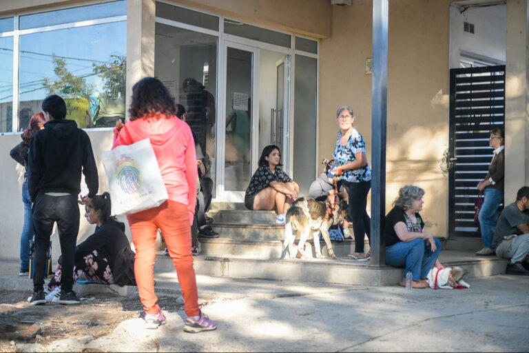 Reprograman actividades de castración