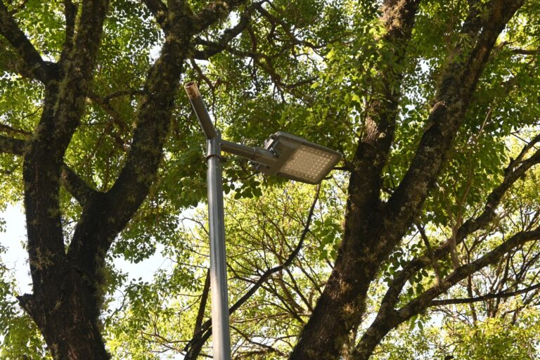 Paseo Jardín: se robaron 12 luminarias LED