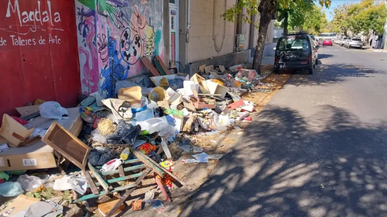 VECINOS PIDEN QUE LIMPIEN EL BASURAL QUE SE FORMÓ EN PLENO CENTRO