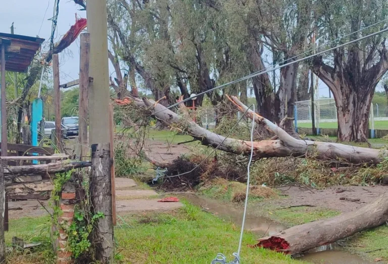 Los fuertes vientos también tiraron árboles y postes en el norte de Entre Ríos