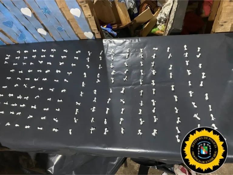 EMITEN DIEZ ORDENES DE ALLANAMIENTO SIMULTANEAS Y TRAS VIOLENTAR DIEZ HOGARES DETIENEN A TRES PERSONAS