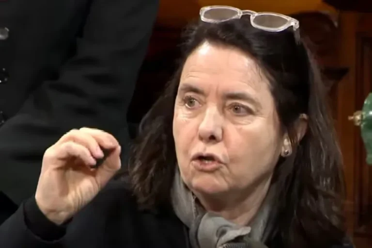 Polémica por los dichos de una senadora: No creo que los niños argentinos tengan derecho a venir al Garrahan a ser curados