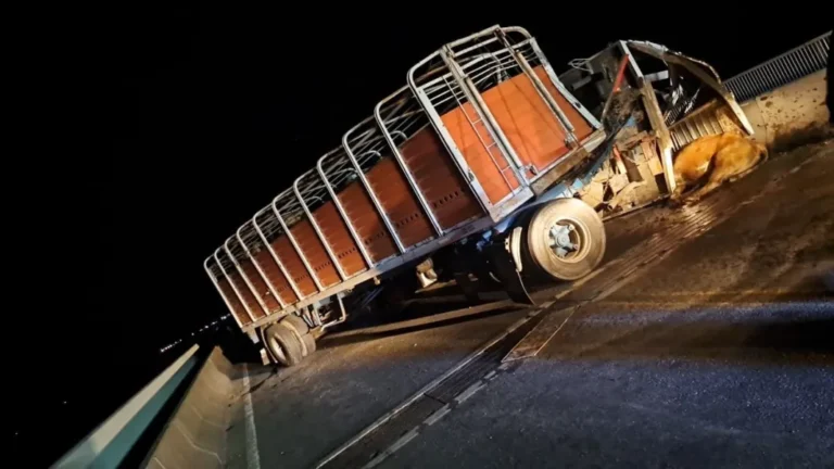 Ruta 174 Está cortado el puente Rosario-Victoria por un grave accidente