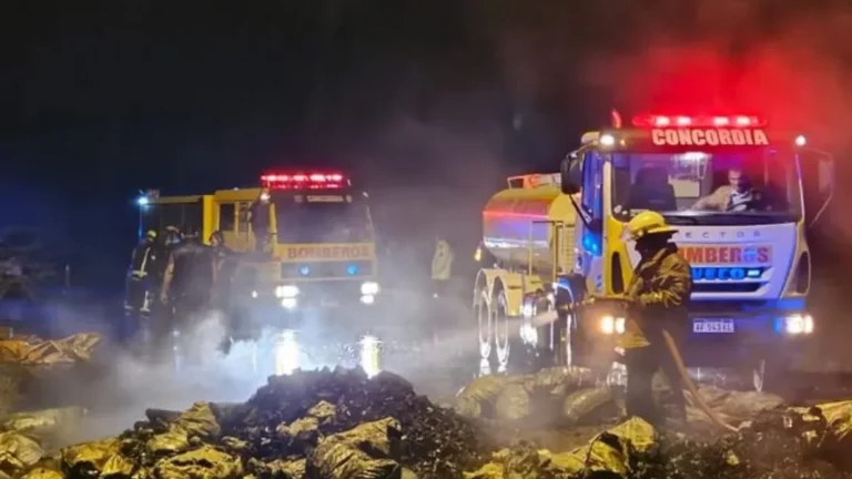 Se incendió un camión en la autovía cerca de Concordia que transportaba bolsas de carbón