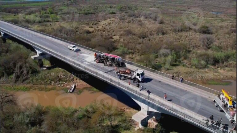 Tránsito asistido en el puente Rosario-Victoria: camión con ganado chocó con una chata y una chica fue embestida por un toro