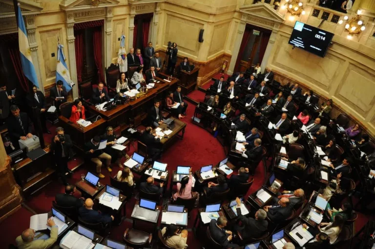 Complejo panorama para el Gobierno en el Senado con la emergencia pediátrica y el presupuesto universitario