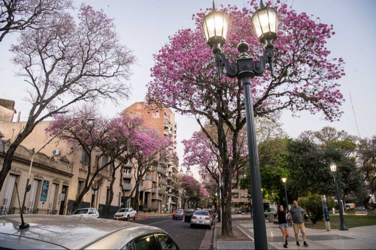 Festivales en la ciudad por el Día de la Primavera