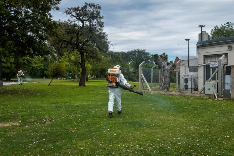 Comenzó la fumigación contra el mosquito
