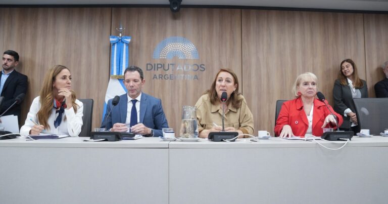 Fentanilo contaminado: Diputados puso en marcha la comisión investigadora