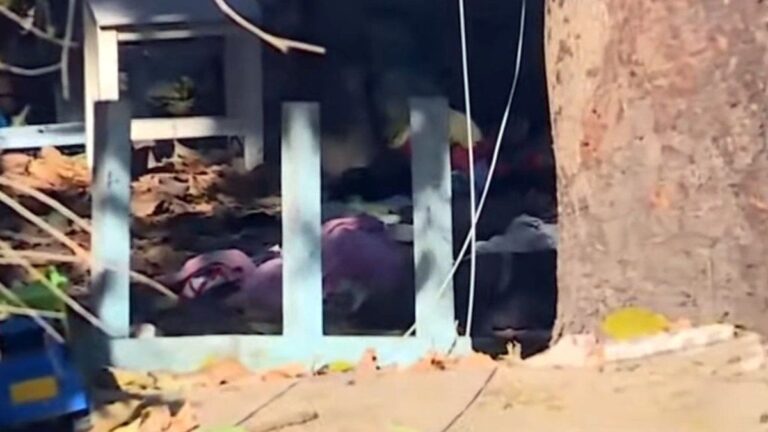 Denuncian que de la casa de Florencio Varela donde mataron a Brenda, Lara y Morena se llevaron bolsas