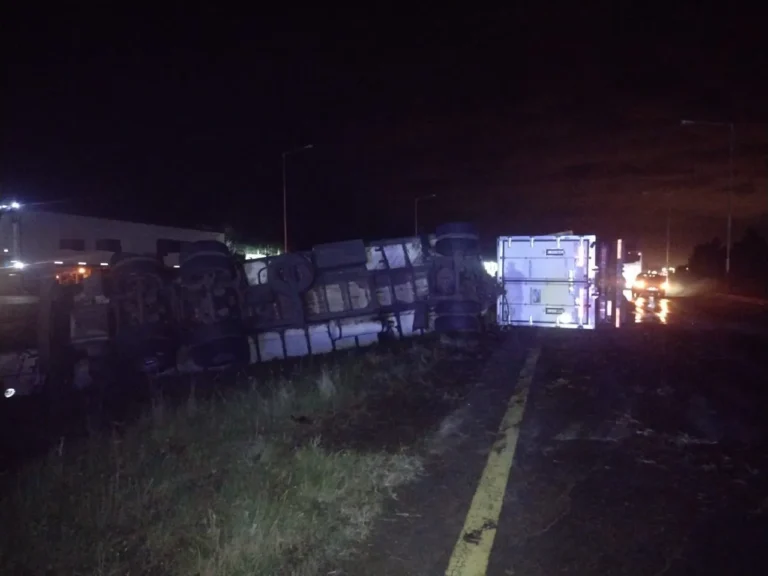 Camión cargado con pollos congelados volcó a la madrugada en el Km. 244 de la Autovía Mesopotámica y el conductor se fugó.