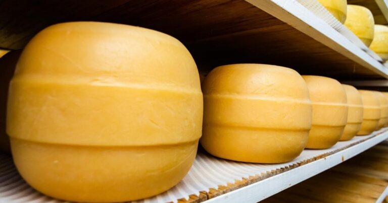 Un queso producido en Santa Fe ganó la medalla de plata en el Mundial de Suiza