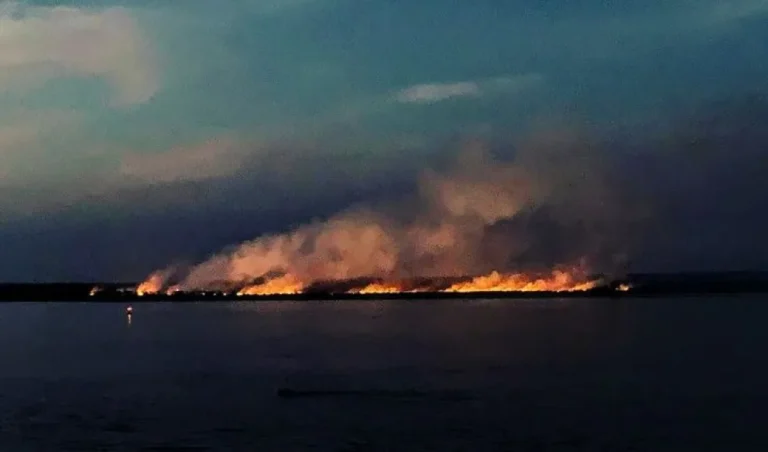 La Corte condenó a Buenos Aires, Entre Ríos y Santa Fe por los incendios en zona de Islas de Victoria y Rosario