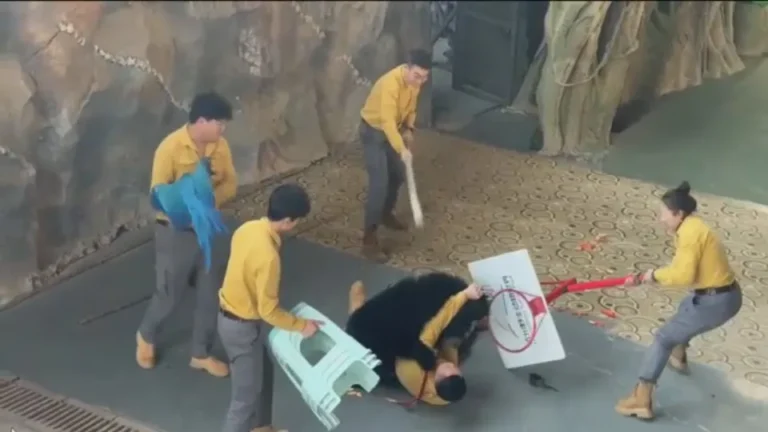 Video: el ataque de un oso a su cuidador que desató el pánico en un safari de China