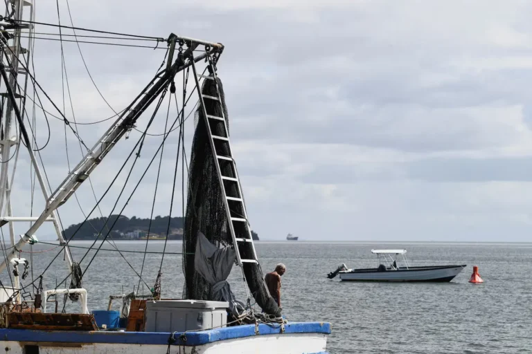 Aumenta la tensión en el Caribe: una isla cercana a Venezuela autorizó a EE.UU. a usar sus aeropuertos