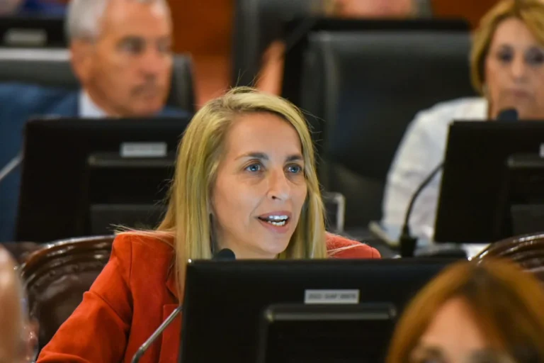 El justicialismo reclamó en Diputados por recortes anunciados en institutos de Educación Superior