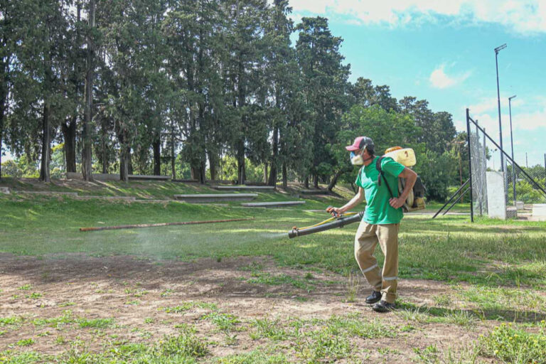 Refuerzan la fumigación en la ciudad