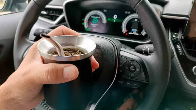 Una provincia multará con $500.000 a quienes conduzcan un auto tomando mate: qué dice la Ley de tránsito