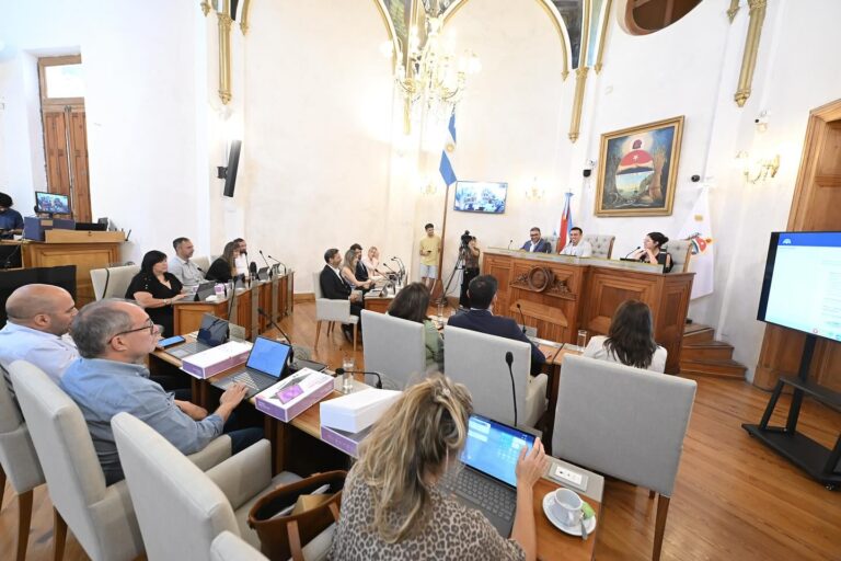 El Concejo aprueba reducción costo energía