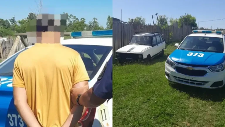 Le robaron el auto, miró las cámaras y descubrió que había sido su hermano