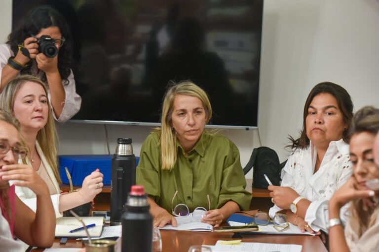 El PJ no acompañó el dictamen para crear una comisión investigadora de la deuda